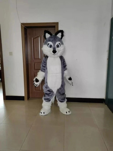 Long fur husky - husky, fox