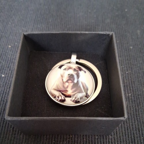 Staffy dog keyring.