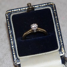 Georgous Sparkly  Leo Cut