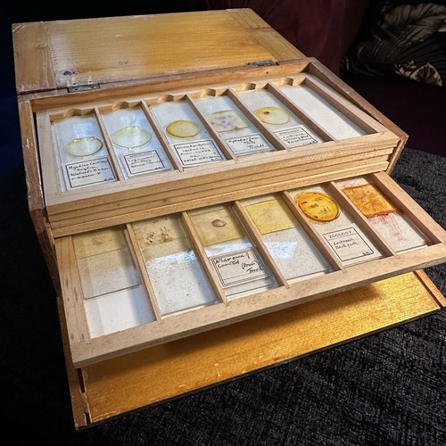 Vintage microscope slide - microscope,