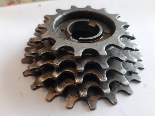 Vintage regina corsa - vintage,