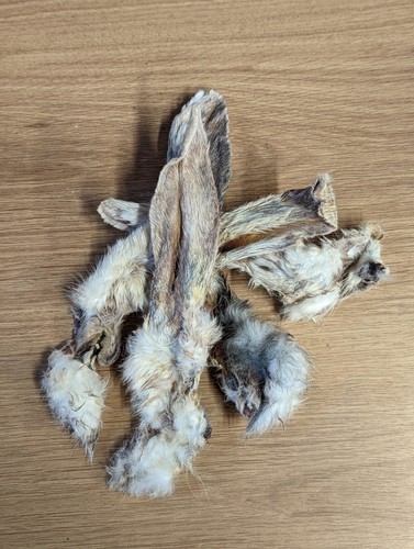 10kg rabbit ears - rabbit, with