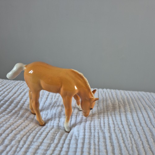 Beswick palomino foal grazing - beswick,