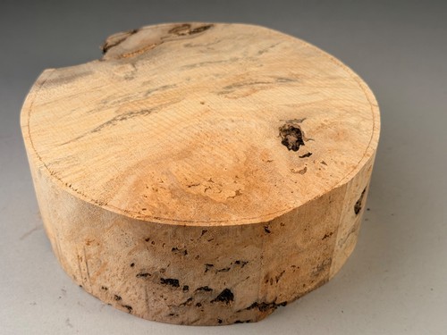 Spalted burr sycamore wood - spalted,