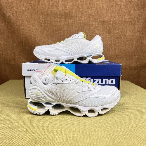 Mizuno wave prophecy 8 - wave,
