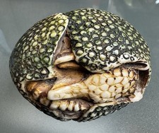 Large Signed Japanese Style