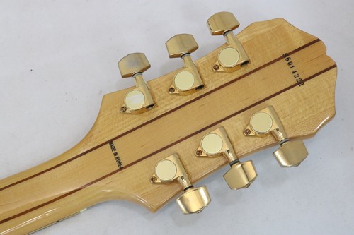 Epiphone sheraton - sheraton, ii