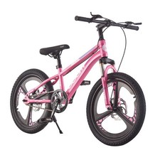 20 Inch Kids Bike Unisex