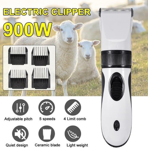 900w electric sheep - electric,