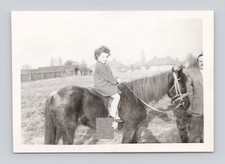 Old B&W Photo Girl with Curly Hair Sitting on / Riding Pony