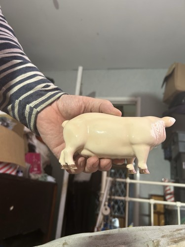 Leonardo countrylife pig - countrylife,
