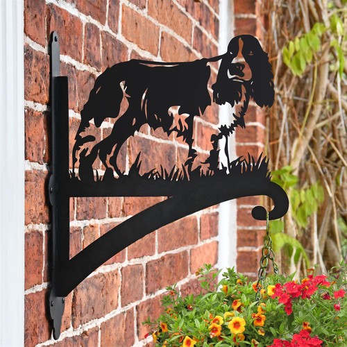 English springer spaniel dog - english,