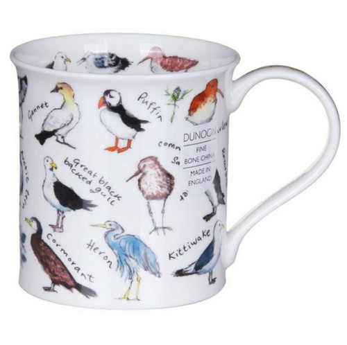 Dunoon bute birdlife - bute, coastal