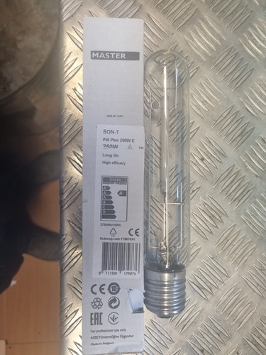 Philips master son - philips, t
