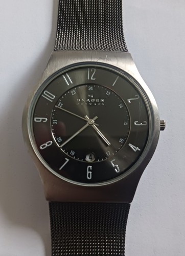 Skagen sundby titanium - skagen,