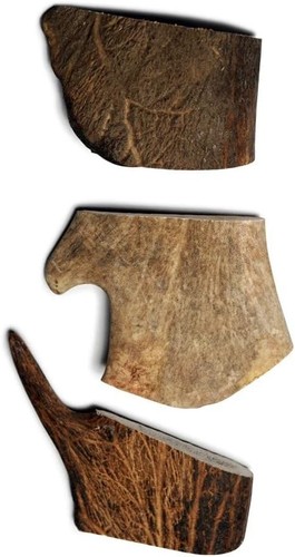 Fallow antler dog - chew, –