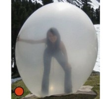 Giant 21 foot Scientific