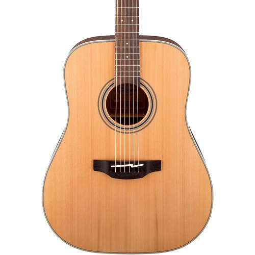 Takamine series gd20 - g,