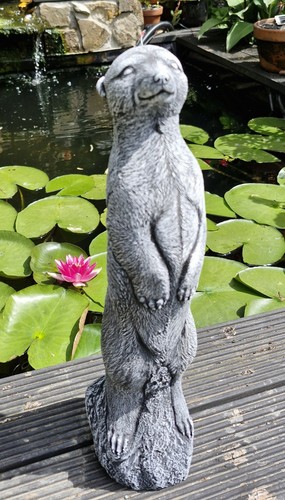 Large meerkat cement garden