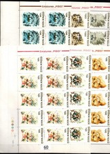 TW 10X ROMANIA - MNH - PETS - CATS - 1993