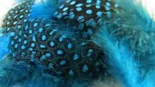 IFS Guinea Fowl Dyed Intense Teal 3 grms, hackle, Cape, Bumble.