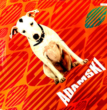 ADAMSKI - KILLER - 12" VINYL