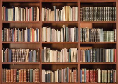 8x6ft library bookshelf - library,