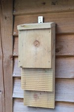 Twin Wooden Bat Box, Perfect