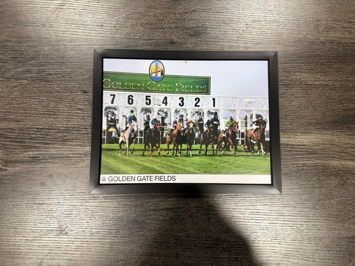 Framed horse racing - horse,