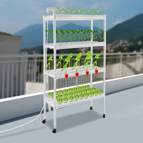 Hydroponic grow kit - hydroponic,