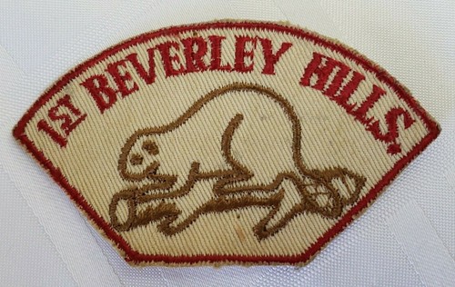 Boy scouts beavers 1st - scouts,