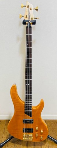Washburn 1250 kip - kw-1250, winger