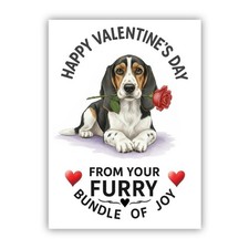 English Foxhound Dog