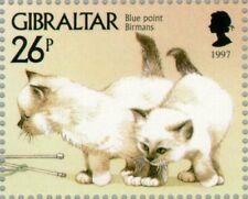 GIBRALTAR - 1997 😍 Blue Point Burmese Kittens 😍 MNH VERY Cute & Adorable Stamp