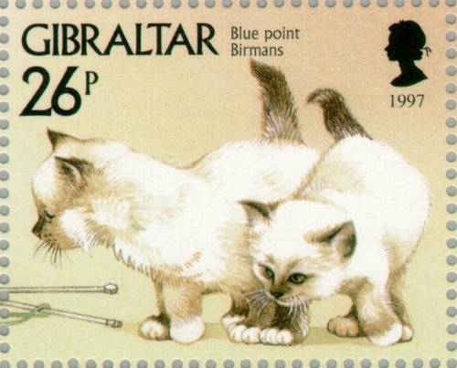 Gibraltar 1997 blue - 😍,