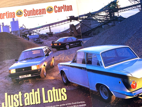 Lotus carlton sunbeam - lotus,