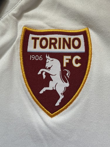 Torino football shirt - football,