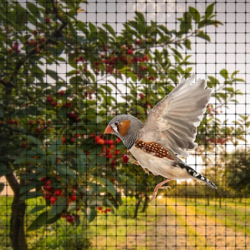 Anti bird netting x - anti,