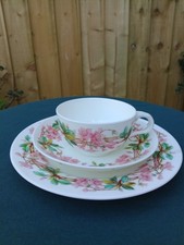 Rare Minton Porcelain Floral