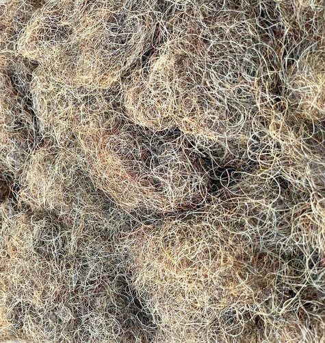 Horse hog hair - horse, for