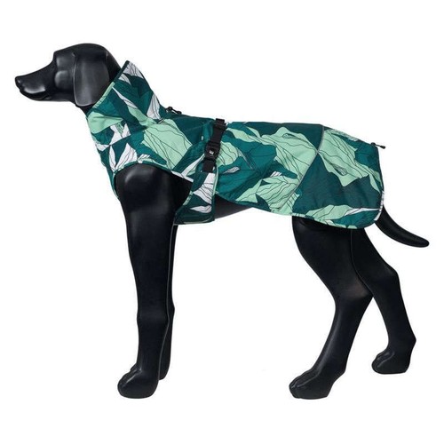 Icepeak pet northlander dog - pet,