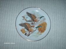 vintage liverpool road pottery plate stoke on trent 15 .5 cm wide canadian geese