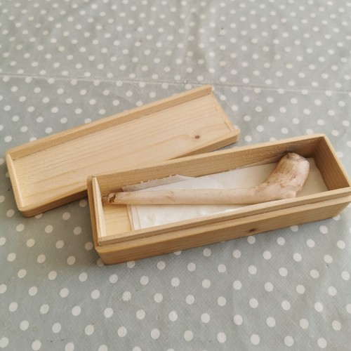 Antique white clay tobacco - antique,