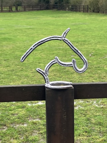 Horse head sculpture - 🌟horse,