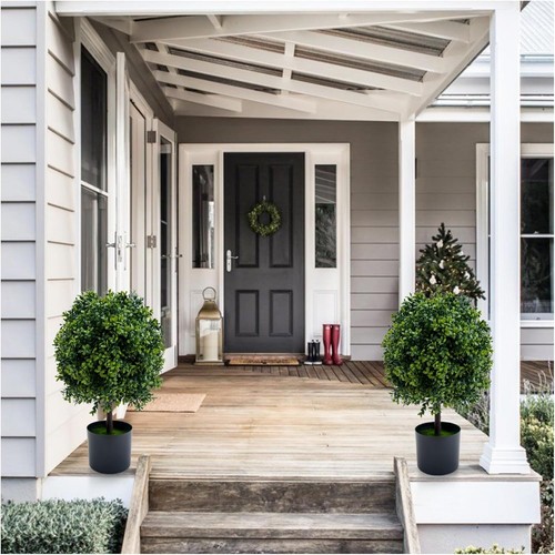 Inch boxwood ball trees - inch,