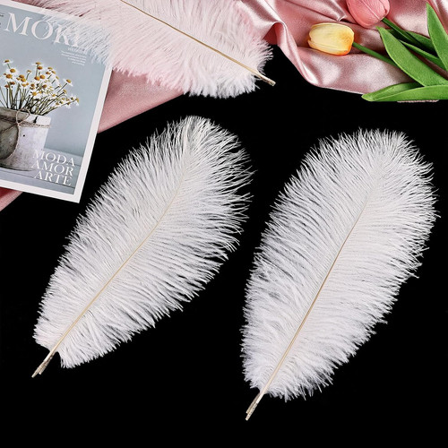White ostrich feathers - feathers, 24pcs