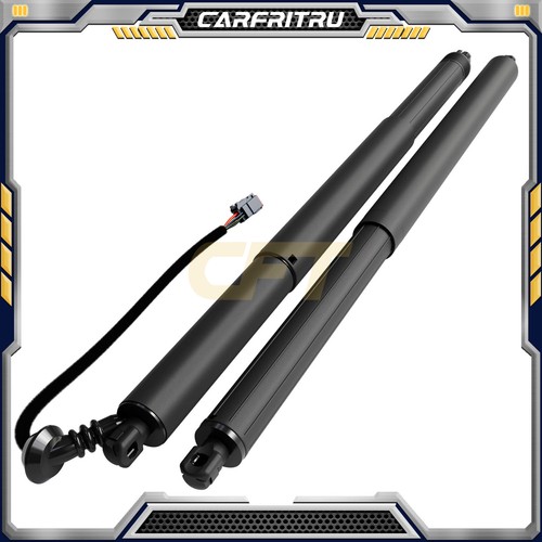 Rear left right tailgate - left,