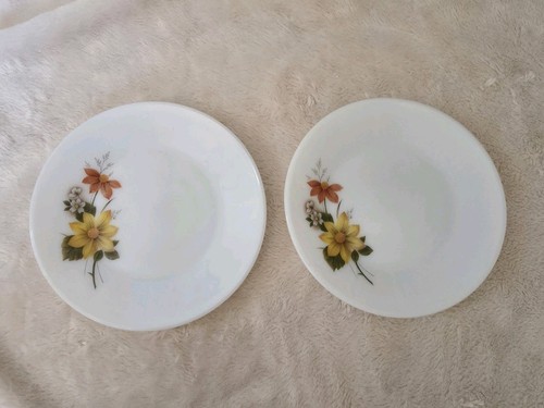 Jaj pyrex autumn - pyrex, glory