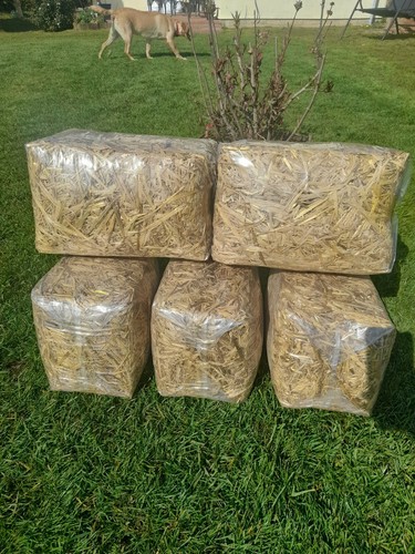 Mini straw bales - 2, x