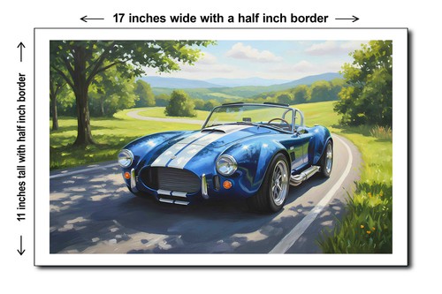 1965 shelby cobra - 6,